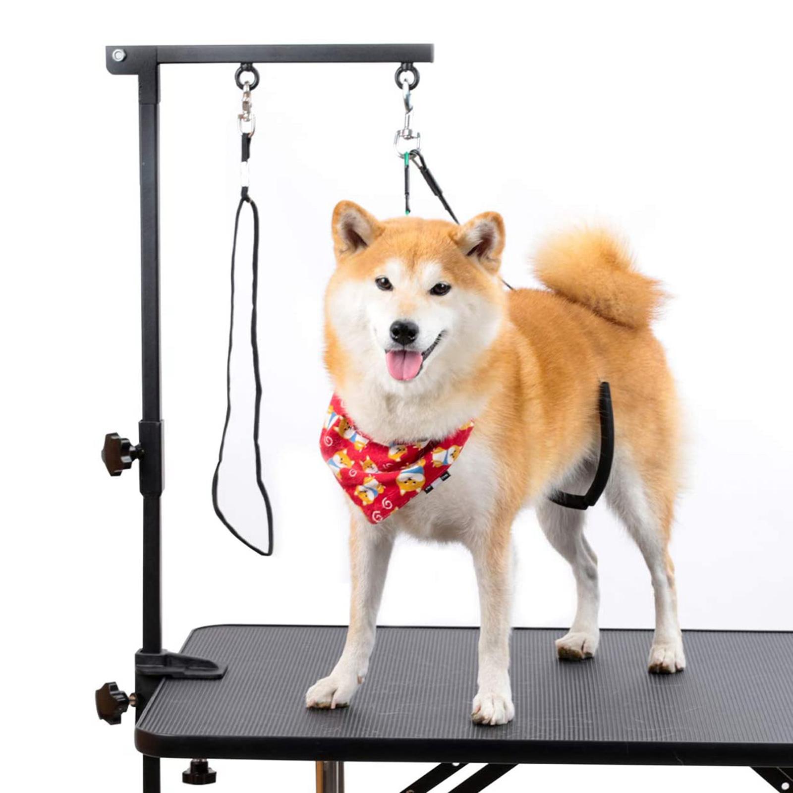 Składana ręka do pielęgnacji z – Folding Pet Grooming Table Arm Clamp recenzja i cena