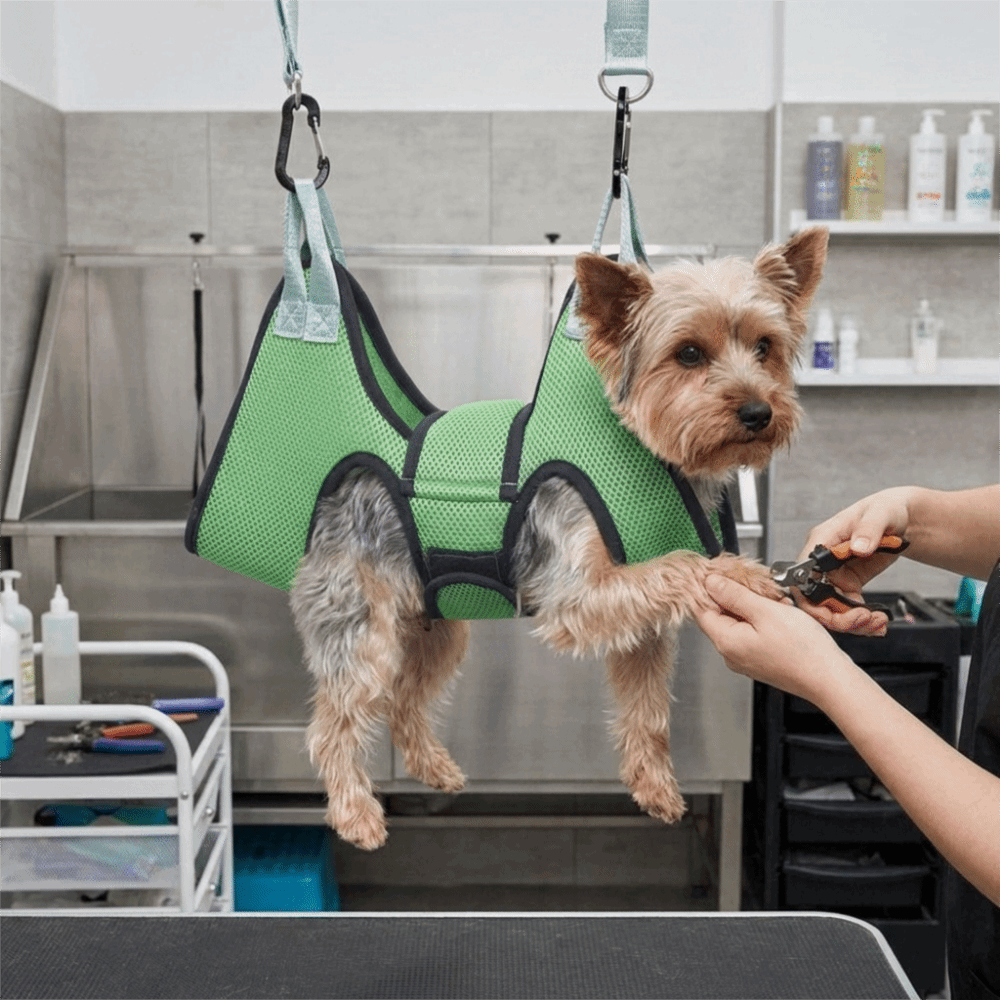 Regulowana siatka do pielęgnac – Pet Grooming Hammock Sling Restraint recenzja i cena