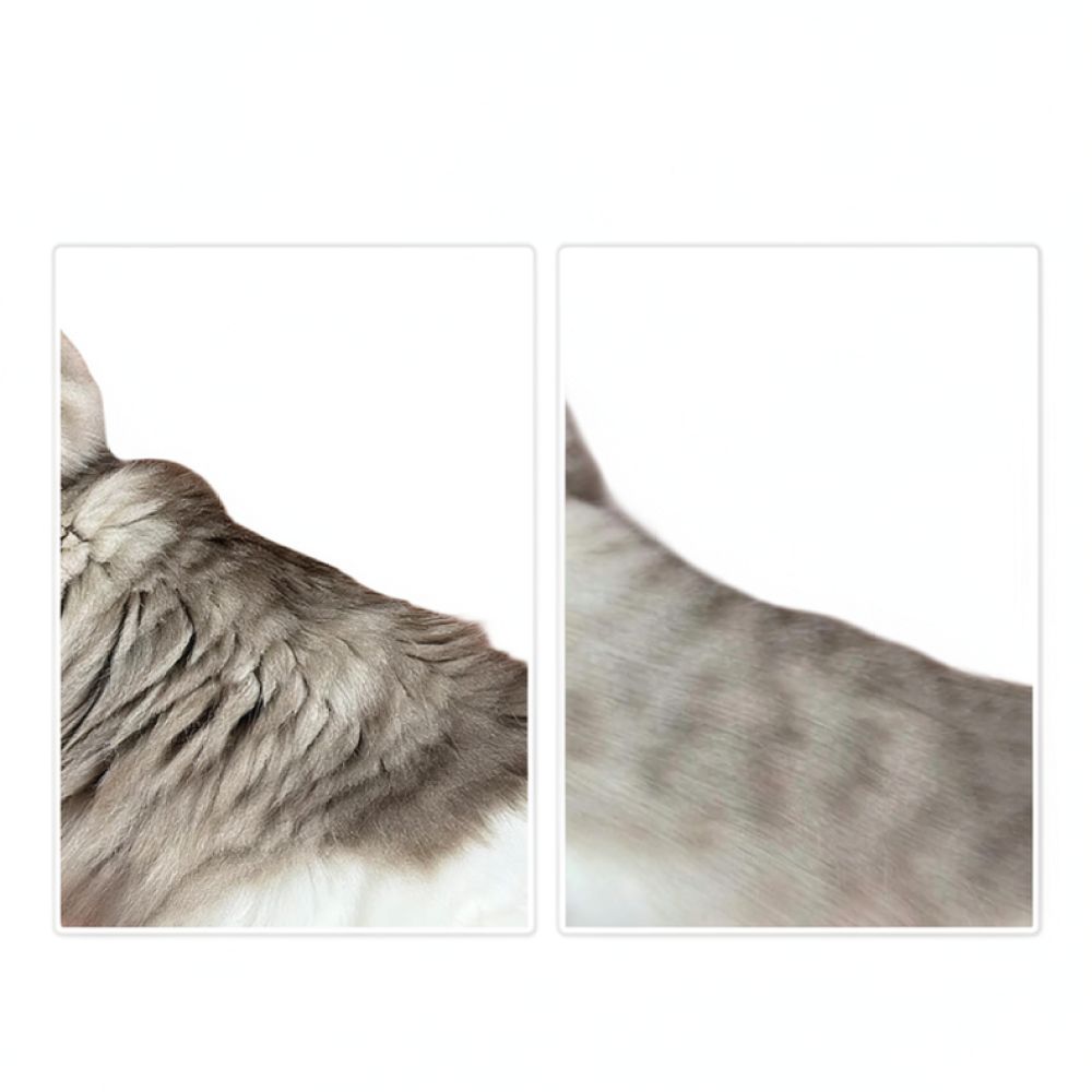 Narzędzie do usuwania sierści  – Undercoat Rake Dematting Tool Dog Shedding recenzja i cena