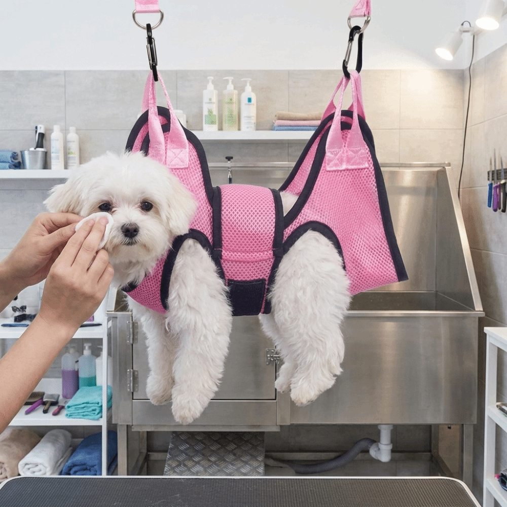 Regulowana siatka do pielęgnac – Pet Grooming Hammock Sling Restraint recenzja i cena