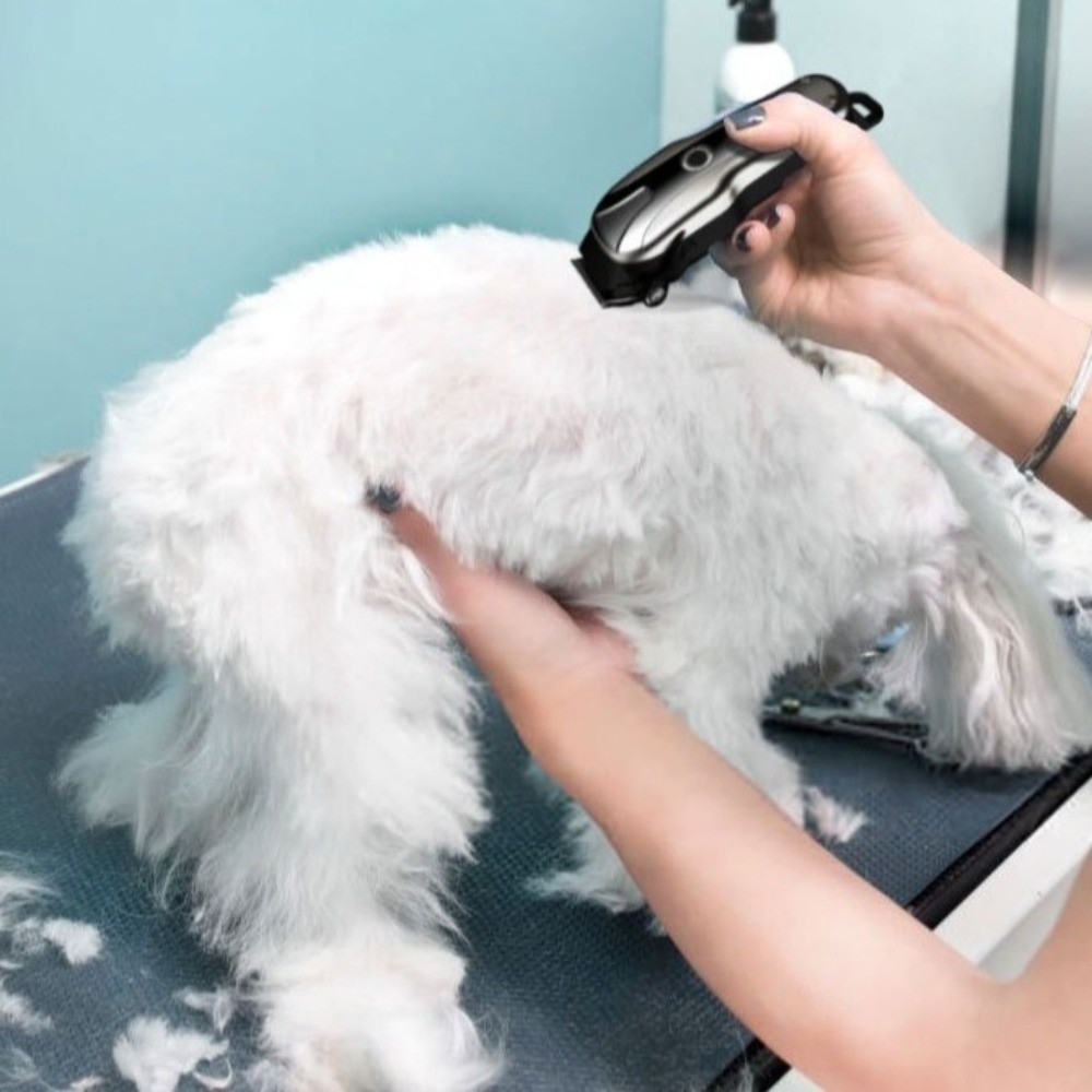 Uniwersalna, ładowana przez US – Cordless Dog Clippers Low Noise Grooming recenzja i cena