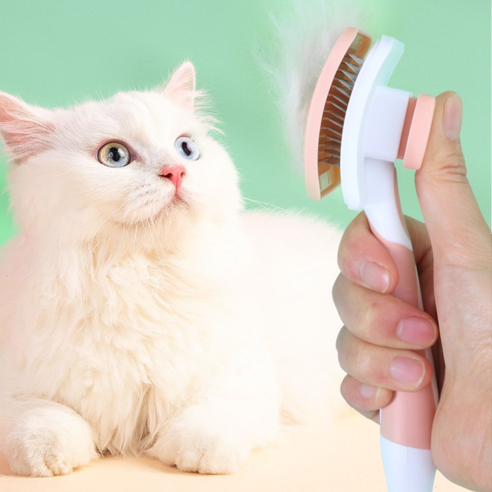 Szczotka do pielęgnacji zwierz – Slicker Brush Self Cleaning Pet Grooming recenzja i cena
