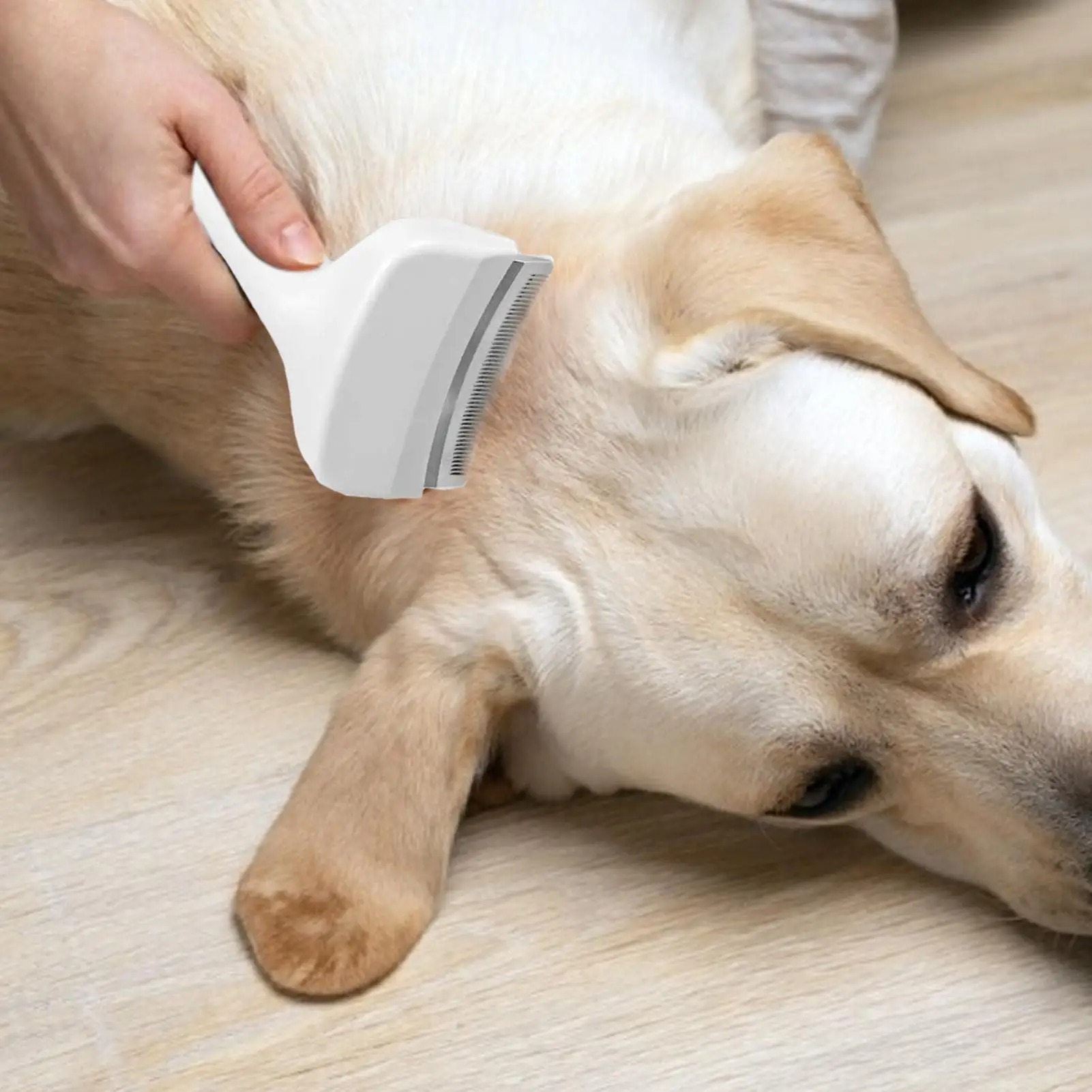 Szczotka do usuwania podszerst – Undercoat Rake Dematting Tool Dog Shedding recenzja i cena
