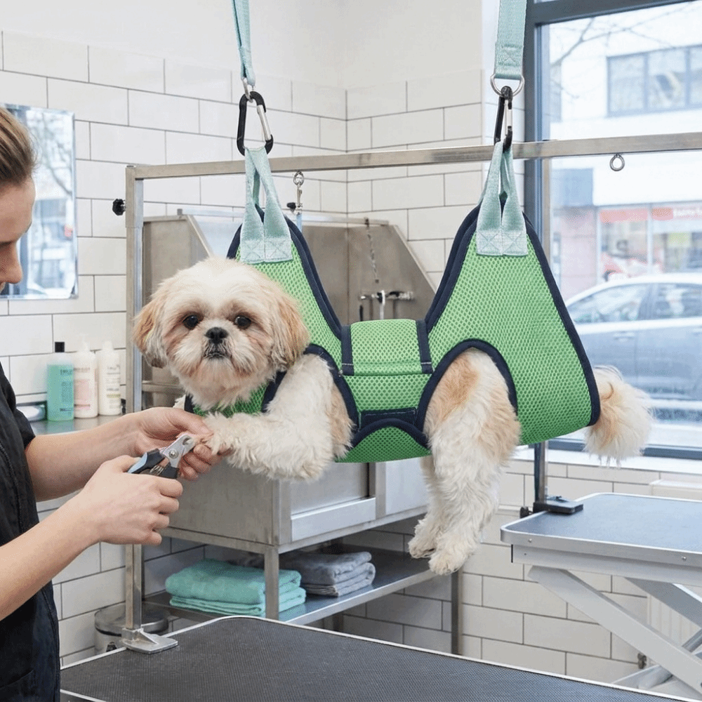 Regulowana siatka do pielęgnac – Pet Grooming Hammock Sling Restraint recenzja i cena