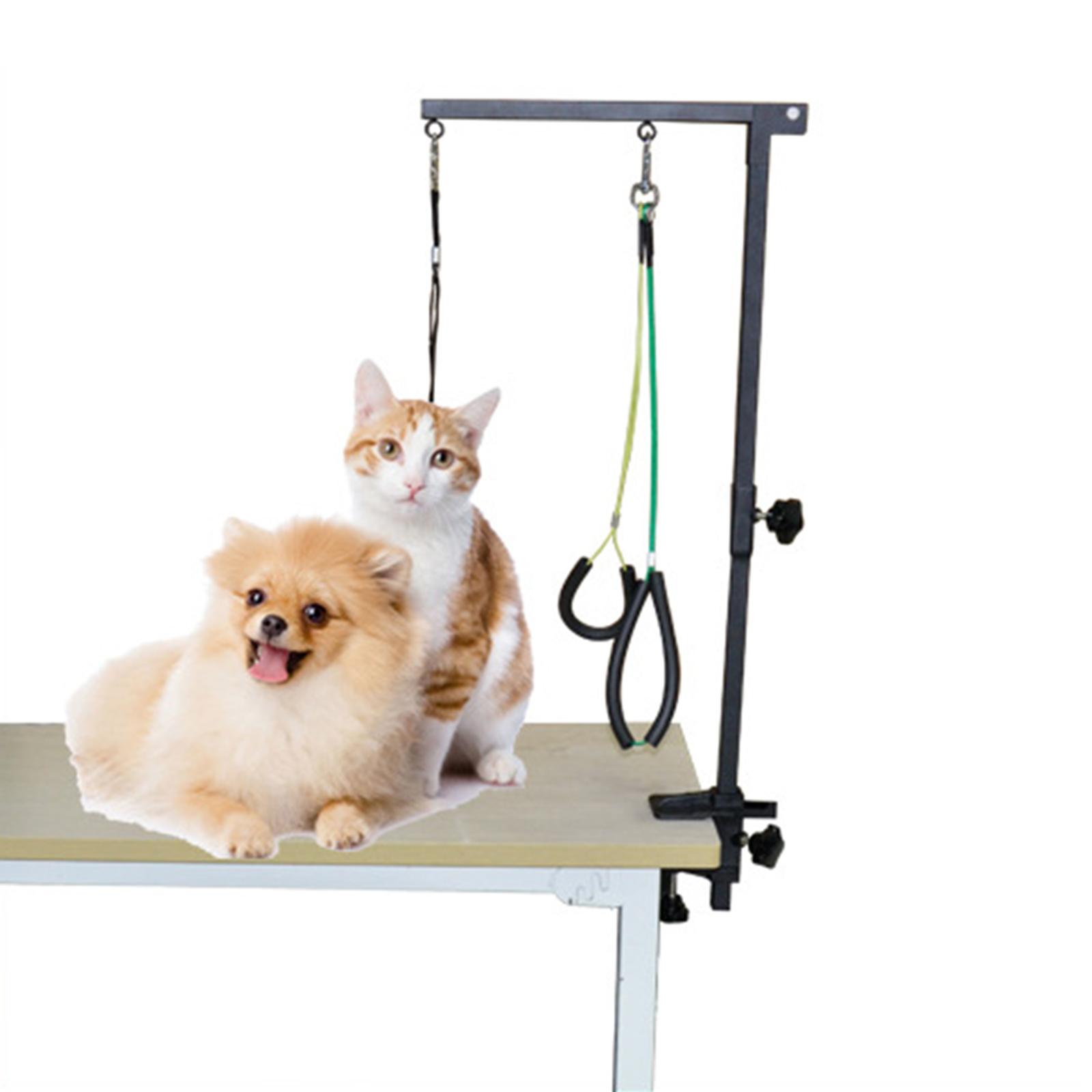 Stojak fryzjerski dla psów z m – Folding Pet Grooming Table Arm Clamp recenzja i cena