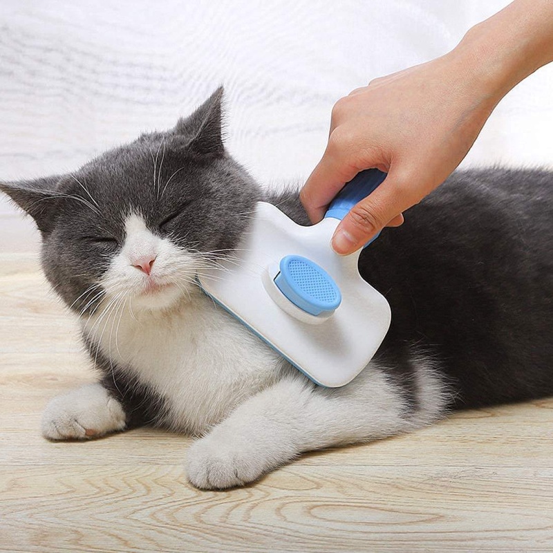 Samoczyszcząca szczotka do usu – Slicker Brush Self Cleaning Pet Grooming recenzja i cena